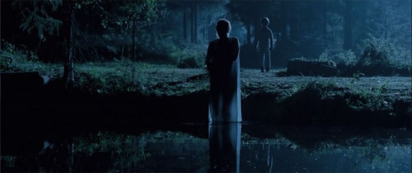 TUMMIEN-PERHOSTEN-KOTI-muisto