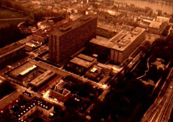 RIGET-lintuperspektiivi