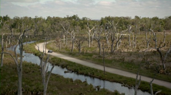 TRUE-DETECTIVE-pimeyden-sydän