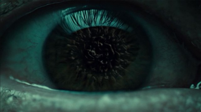 HANNIBAL-silma