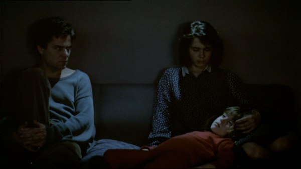 SEITSEMÄS-MANNER-perhe