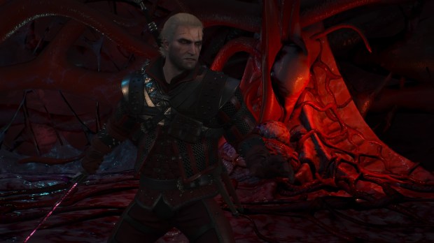 The Witcher 3: Wild Hunt_20161105111550