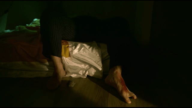 moebius 2013 ki-duk arvostelu